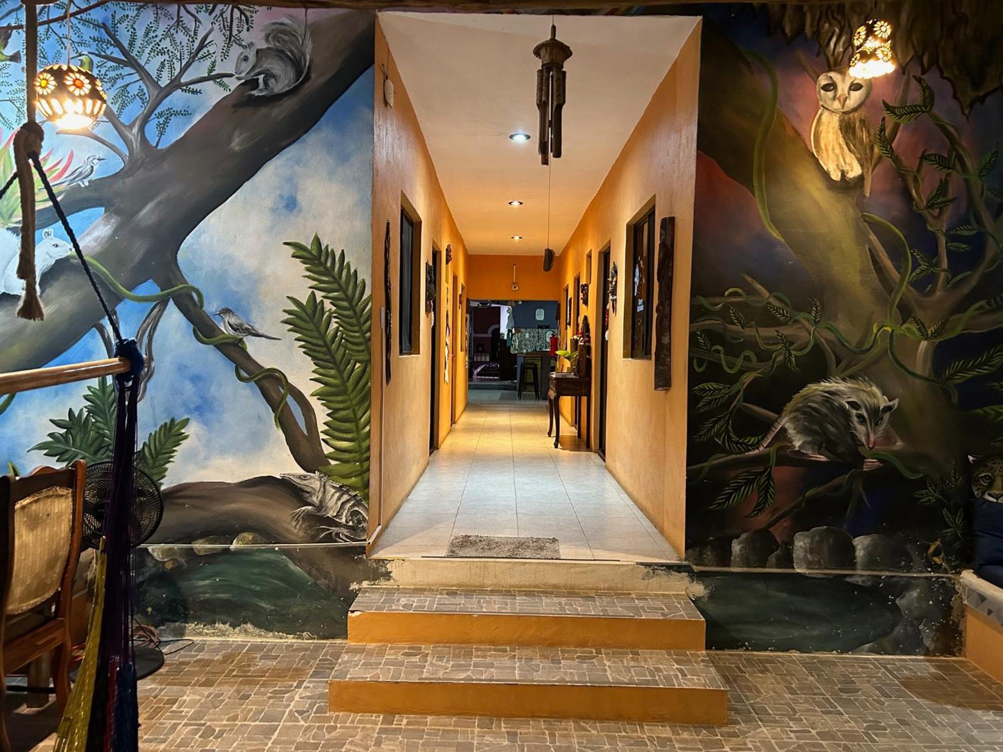 Hostel Casa Xtakay Valladolid  Kültér fotó